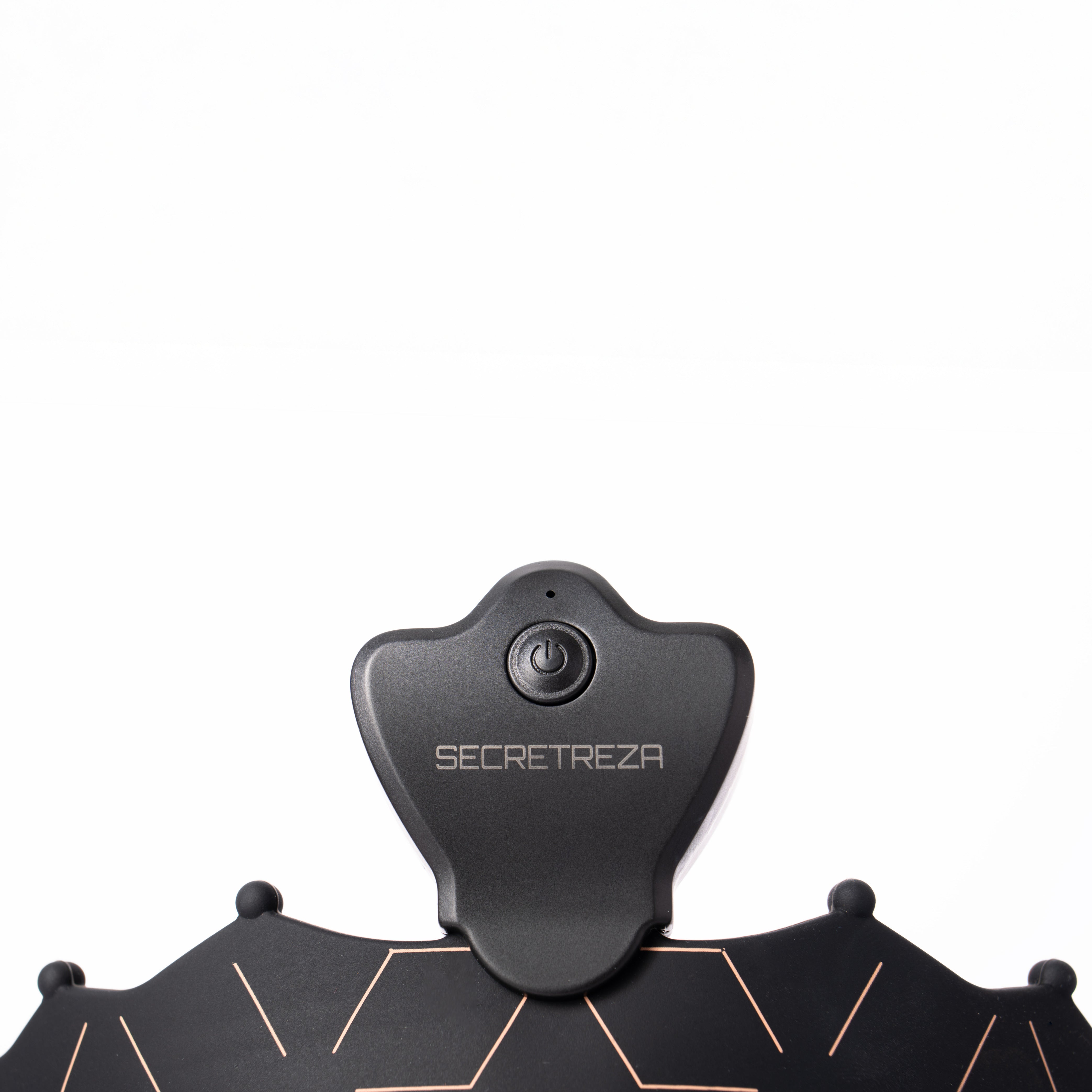 SECRETREZA™ LED MASK PRO